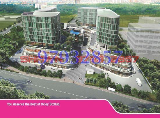 OXLEY BIZHUB (D14), Factory #89163582